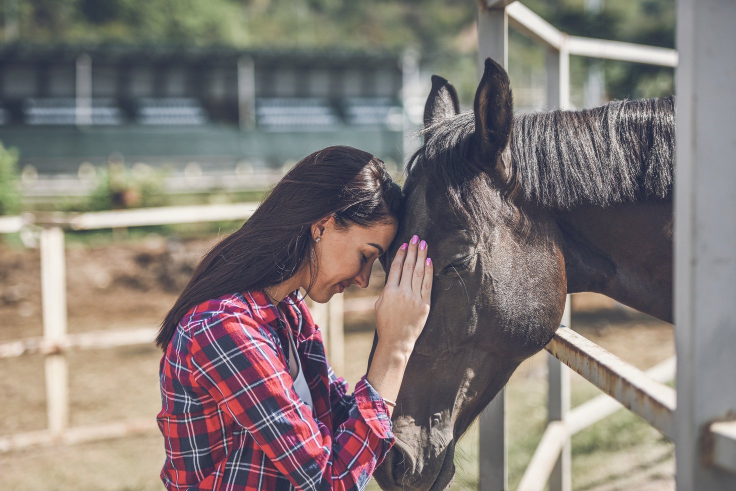 young woman and horse